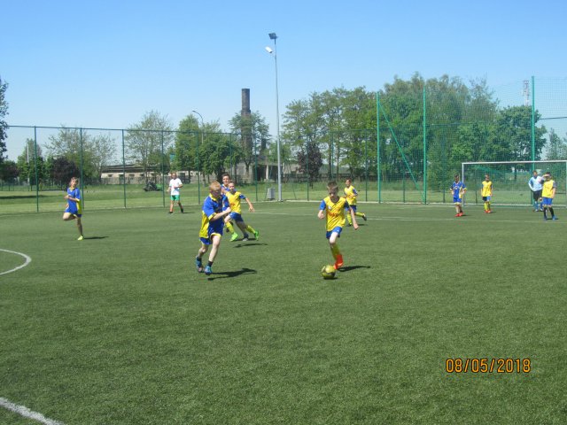 pino 17